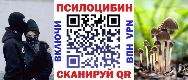 где продают   Карачев  Псилоцибиновые грибы MAGIC MUSHROOMS 